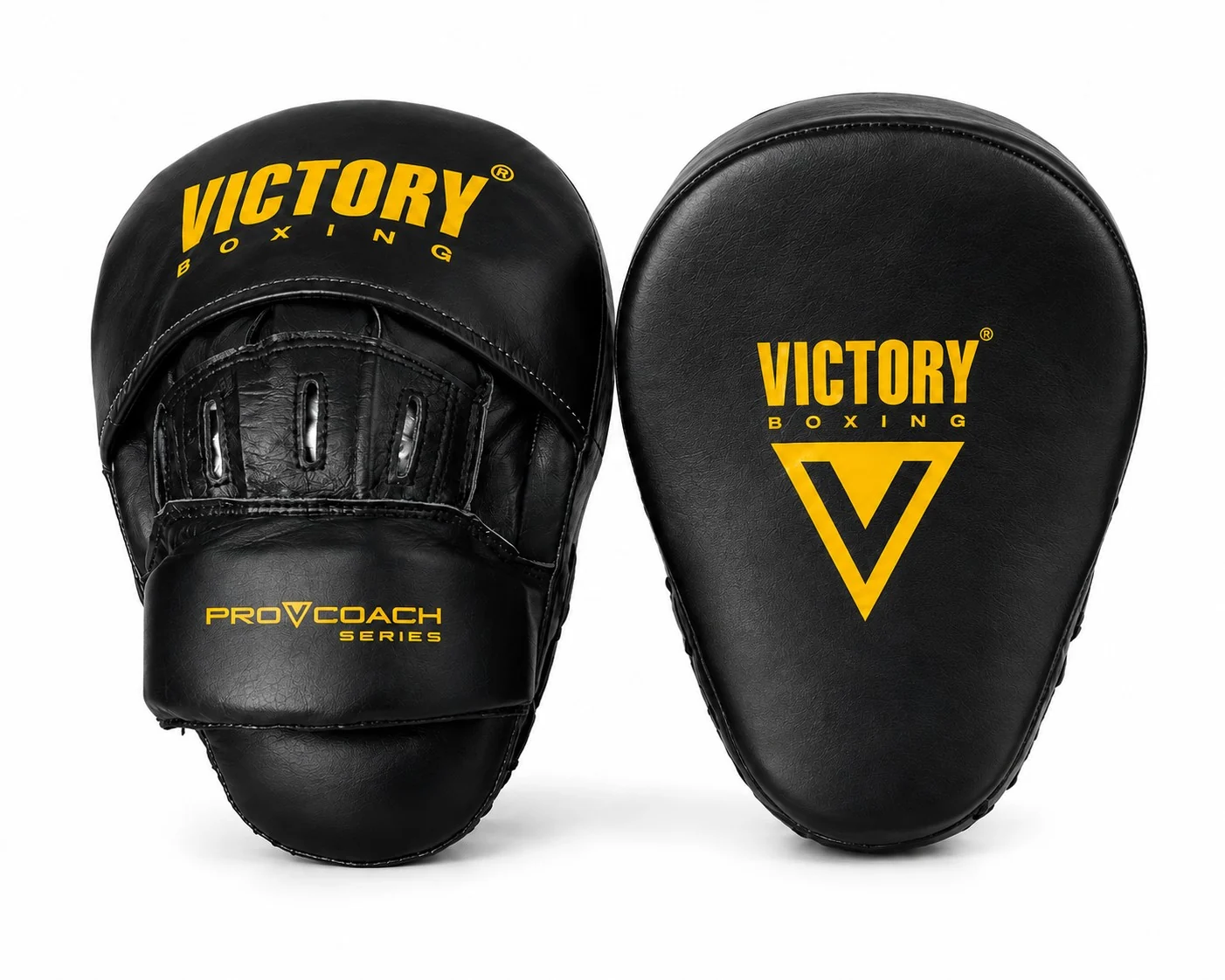 Focus Mitt 2